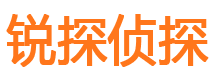 岳塘市私家侦探